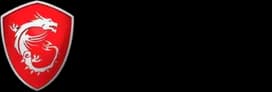 MSI